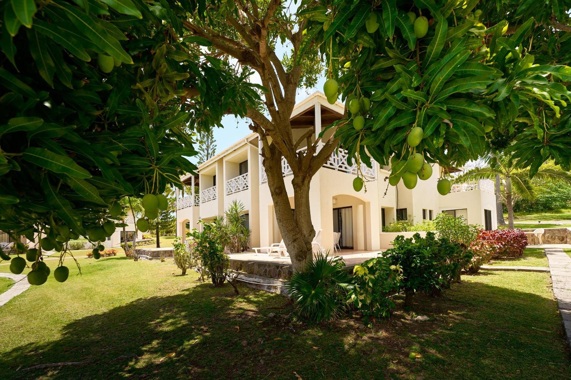 Mount Nevis Hotel São Cristóvão e Névis Exterior foto